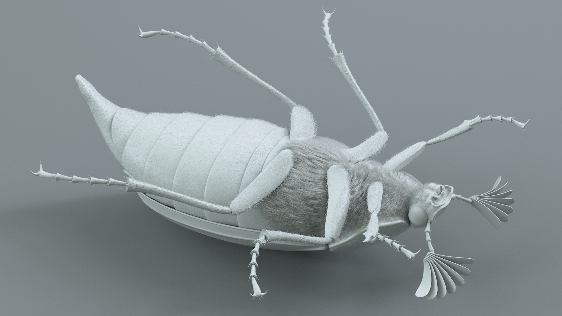 Cockchafer Rigged Xgen model https://p.turbosquid.com/ts-thumb/QJ/HYjuwO/kg/cockchafer_21/jpg/1729586474/1920x1080/fit_q87/d137650e0baabee54cdae80ae8a5429884ccb2ed/cockchafer_21.jpg