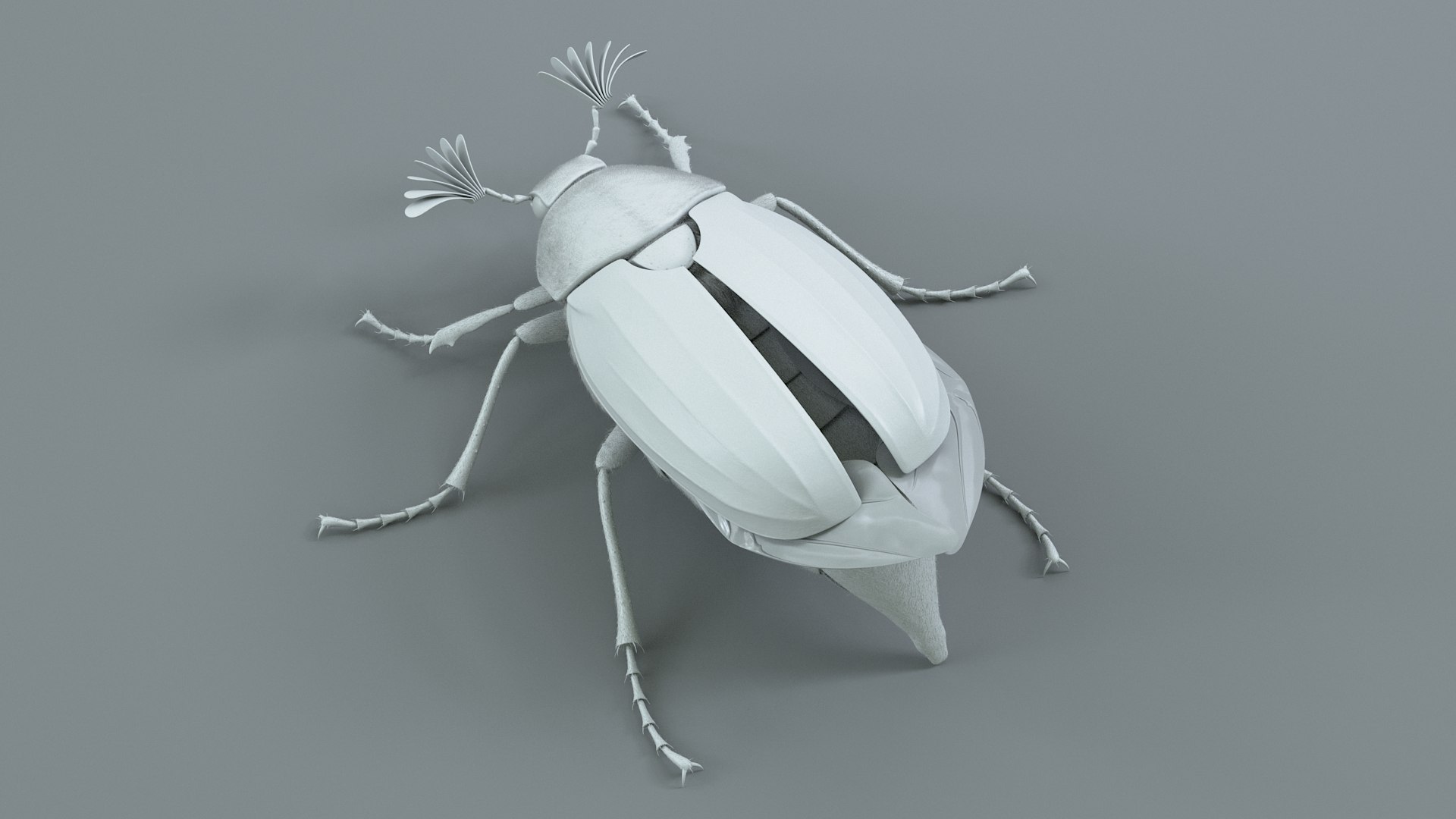 Cockchafer Rigged Xgen model https://p.turbosquid.com/ts-thumb/QJ/HYjuwO/lS/cockchafer_16/jpg/1729586457/1920x1080/fit_q87/1d1cfb797920bbe899f717e0fc2886511a0d1fee/cockchafer_16.jpg
