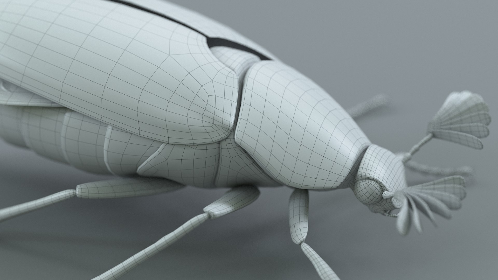 Cockchafer Rigged Xgen model https://p.turbosquid.com/ts-thumb/QJ/HYjuwO/mL/cockchafer_32/jpg/1729586516/1920x1080/fit_q87/ba40b08cdf6eefcc6c8f3151f38321c03a86dd9a/cockchafer_32.jpg