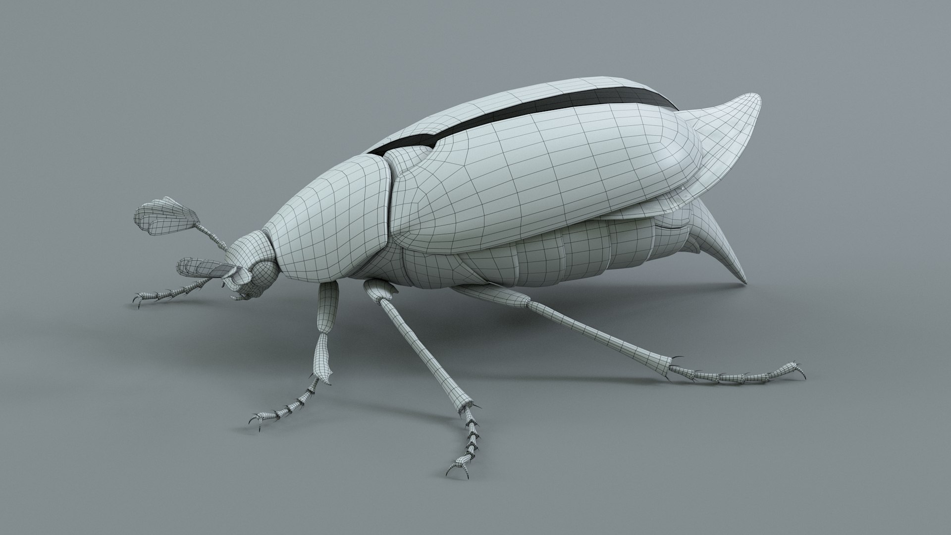 Cockchafer Rigged Xgen model https://p.turbosquid.com/ts-thumb/QJ/HYjuwO/oh/cockchafer_29/jpg/1729586501/1920x1080/fit_q87/12cbb4dbe602a2c14001f3a5ac7c213fc42ba3f9/cockchafer_29.jpg