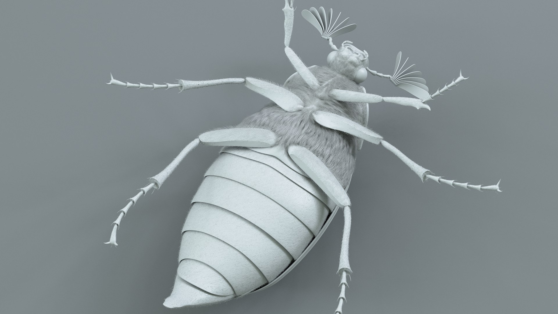 Cockchafer Rigged Xgen model https://p.turbosquid.com/ts-thumb/QJ/HYjuwO/wF/cockchafer_22/jpg/1729586476/1920x1080/fit_q87/8345ea56ae3efb0c5875df9c1d354b1012b9e4e8/cockchafer_22.jpg