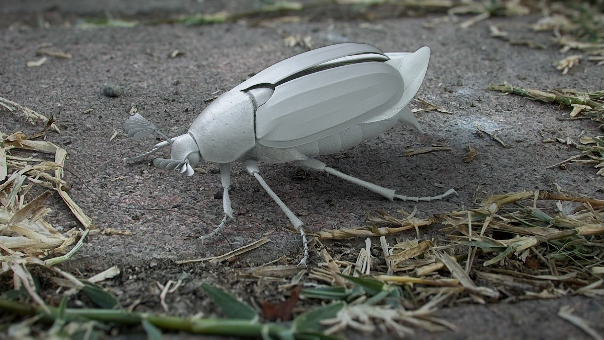 Cockchafer Rigged Xgen model https://p.turbosquid.com/ts-thumb/QJ/HYjuwO/ze/cockchafer_scene_01_clay/jpg/1729586280/1920x1080/fit_q87/cb5beefbcea213aecd7dc739fcce1710090a9a40/cockchafer_scene_01_clay.jpg