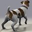 jack l terrier fur 3d model