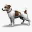 jack l terrier fur 3d model