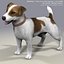 jack l terrier fur 3d model