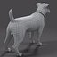 jack l terrier fur 3d model