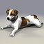 jack l terrier fur 3d model