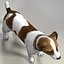 jack l terrier fur 3d model