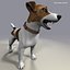 jack l terrier fur 3d model