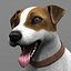jack l terrier fur 3d model