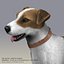 jack l terrier fur 3d model