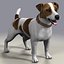 jack l terrier fur 3d model