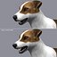 jack l terrier fur 3d model