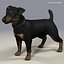 jack l terrier fur 3d model