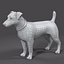 jack l terrier fur 3d model