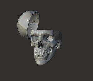 Filigree Anatomical Skull - Pre-supported STL 3D model 3D