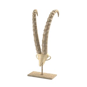 dialma brown decorative 3d model