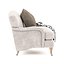 Luxury Classic Armchair with throw pillow and blanket
