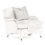 Luxury Classic Armchair with throw pillow and blanket