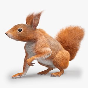 Red Squirrel Fur Rigged