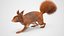 Red Squirrel Fur Rigged