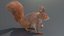 Red Squirrel Fur Rigged