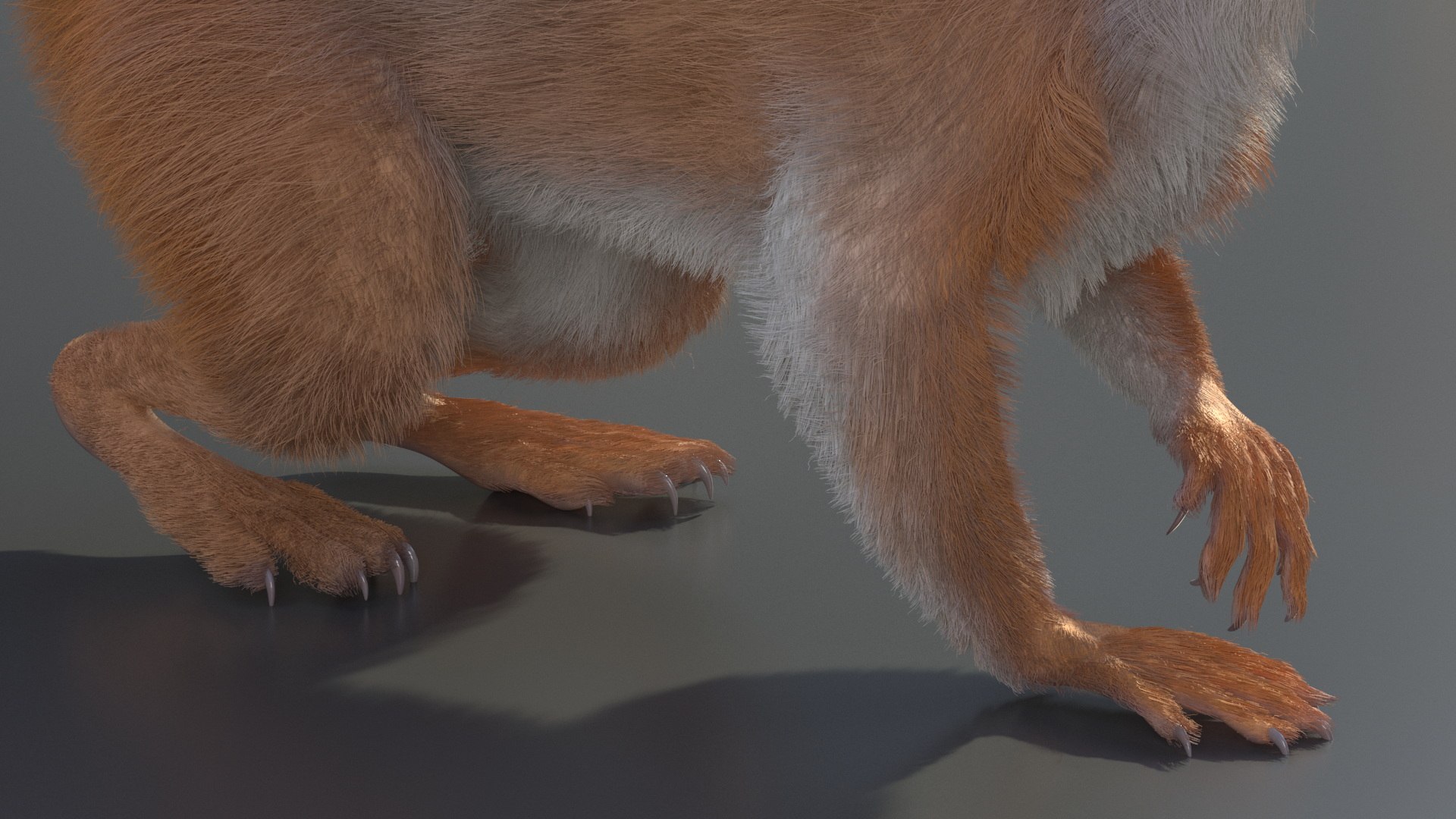 Red Squirrel Fur Rigged 3D https://p.turbosquid.com/ts-thumb/QJ/h0d4DV/I1/redsquirrelfurriggedvray3dmodel012/jpg/1723798592/1920x1080/fit_q87/68dc173b64b535d5ebda32346521f18e4a9fe557/redsquirrelfurriggedvray3dmodel012.jpg