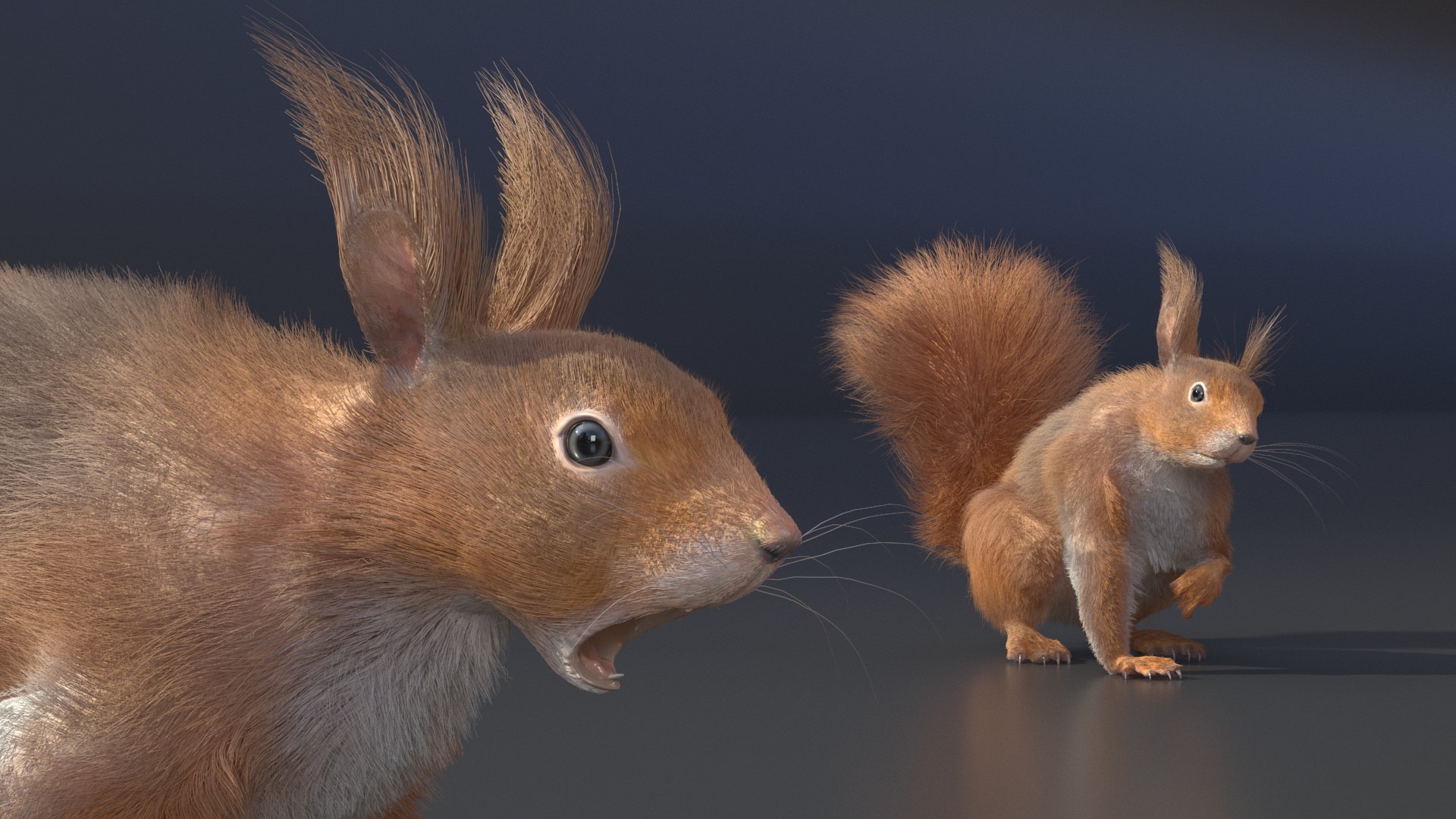 Red Squirrel Fur Rigged 3D https://p.turbosquid.com/ts-thumb/QJ/h0d4DV/pO/redsquirrelfurriggedvray3dmodel014/jpg/1723798594/1920x1080/fit_q87/8a1ea1e2ea37fea7730a51f049daa3988c82a03e/redsquirrelfurriggedvray3dmodel014.jpg