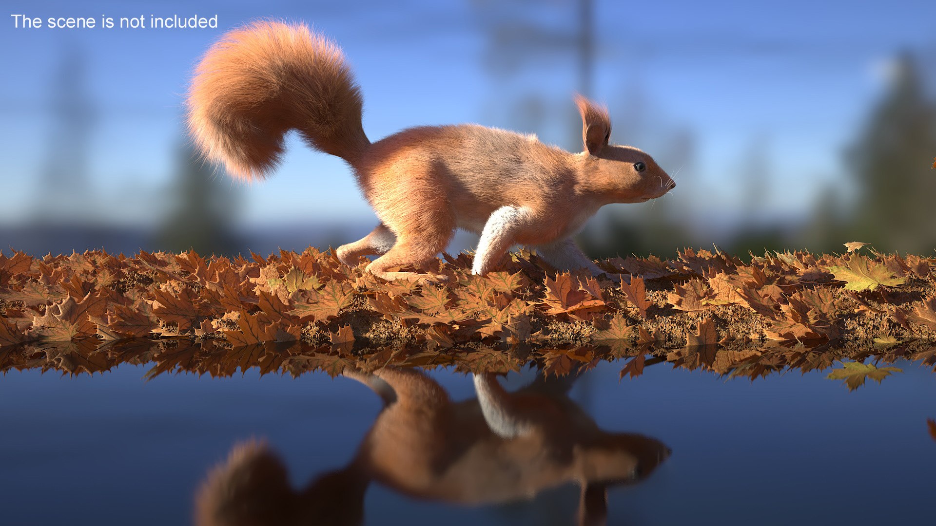 Red Squirrel Fur Rigged 3D https://p.turbosquid.com/ts-thumb/QJ/h0d4DV/qT/redsquirrelfurriggedvray3dmodel002/jpg/1723798576/1920x1080/fit_q87/371a7f1a09f7b85c765a07d2f8839e0936c338c7/redsquirrelfurriggedvray3dmodel002.jpg