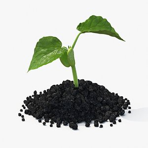 3d plant seedling