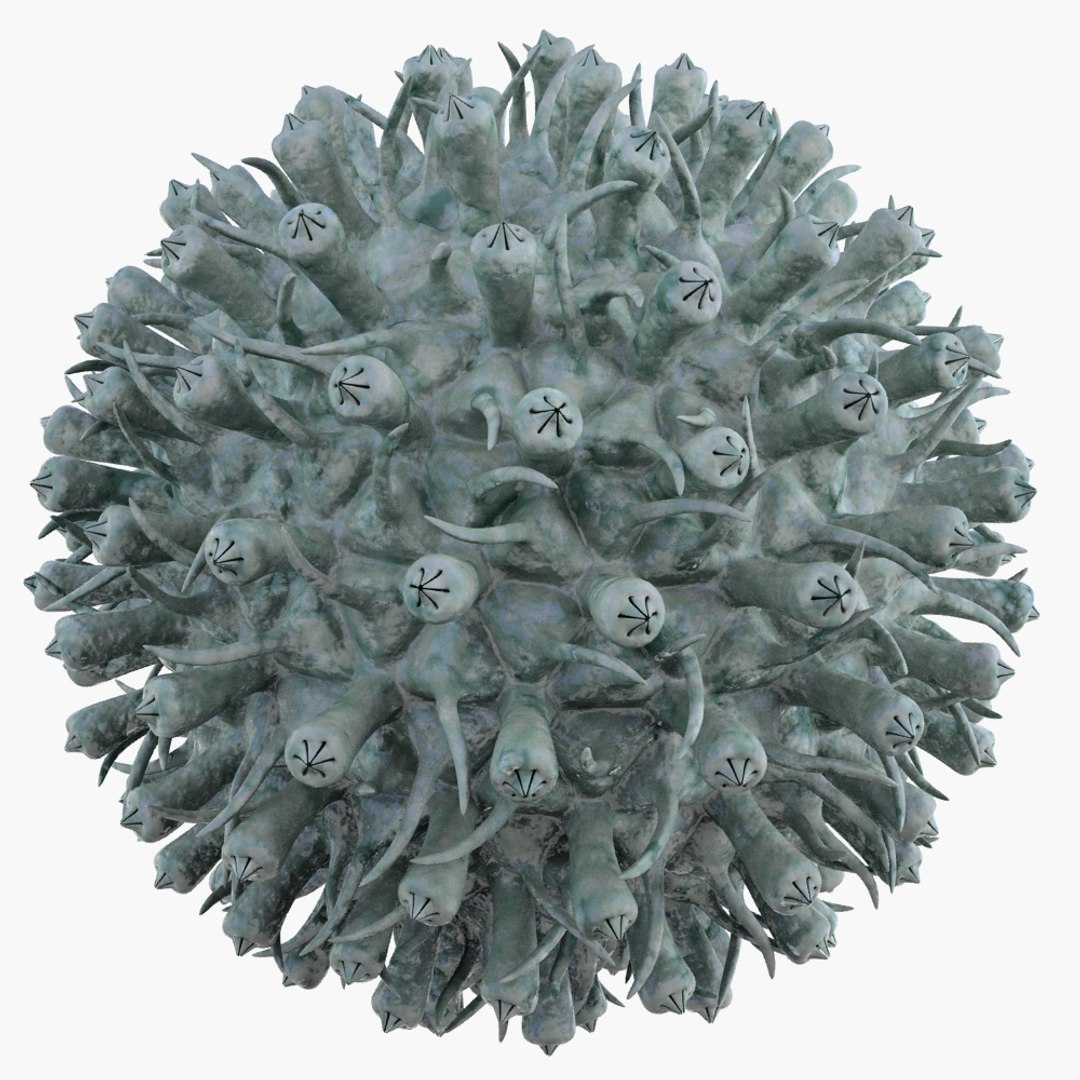 3ds max micro object mht