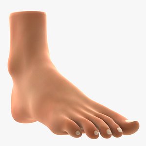 foot model