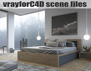 3D vrayforc4d scene files -