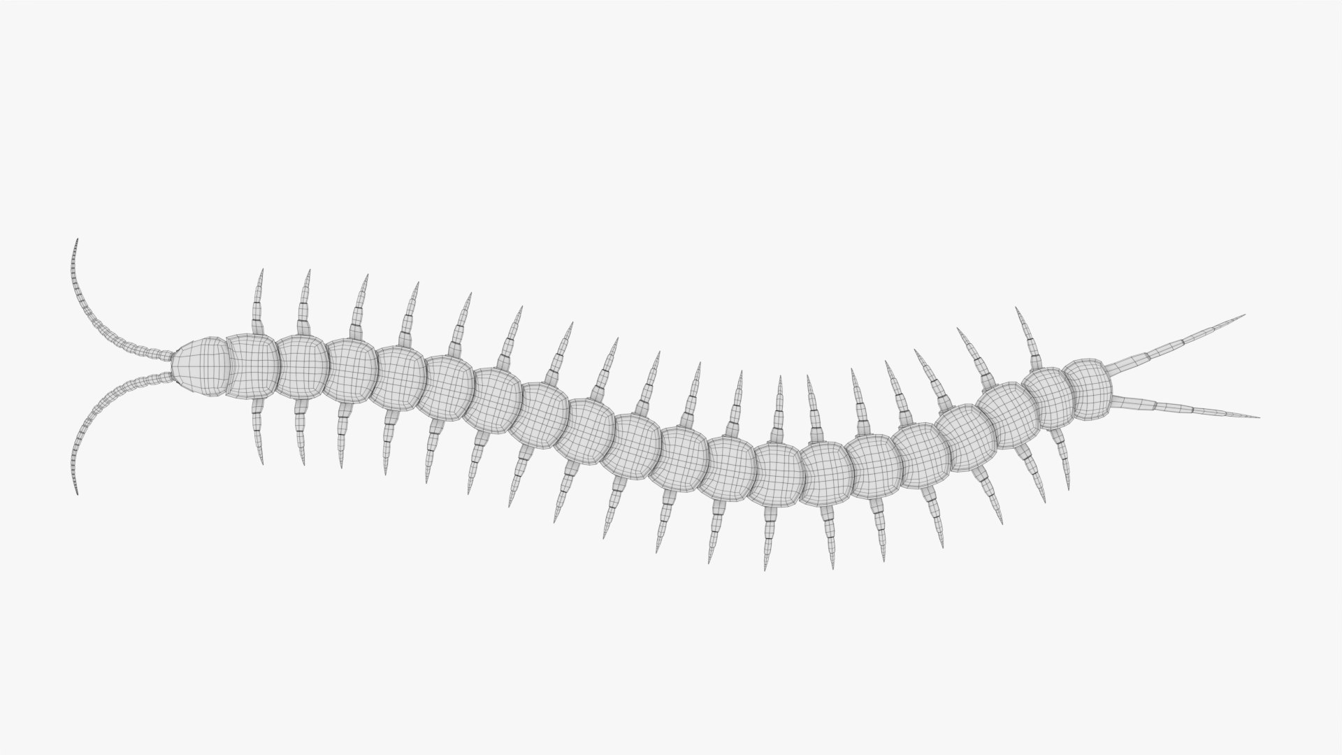 3D centipede robot https://p.turbosquid.com/ts-thumb/QK/NJ48ue/rO/d/png/1615741523/1920x1080/fit_q87/3ea5281bb4e5523a8fb5a181ef14c03d5e27503a/d.jpg
