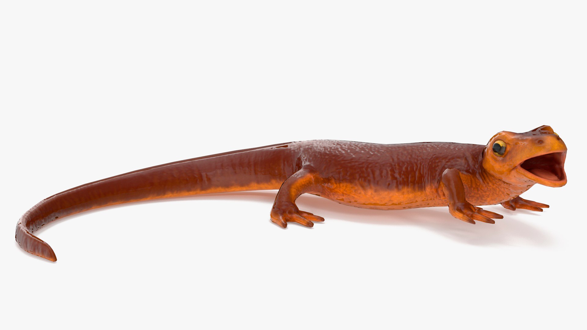 Orange-bellied Newt Rigged 3D model preview