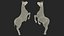Bucking Friesian Horse Fur 3D model