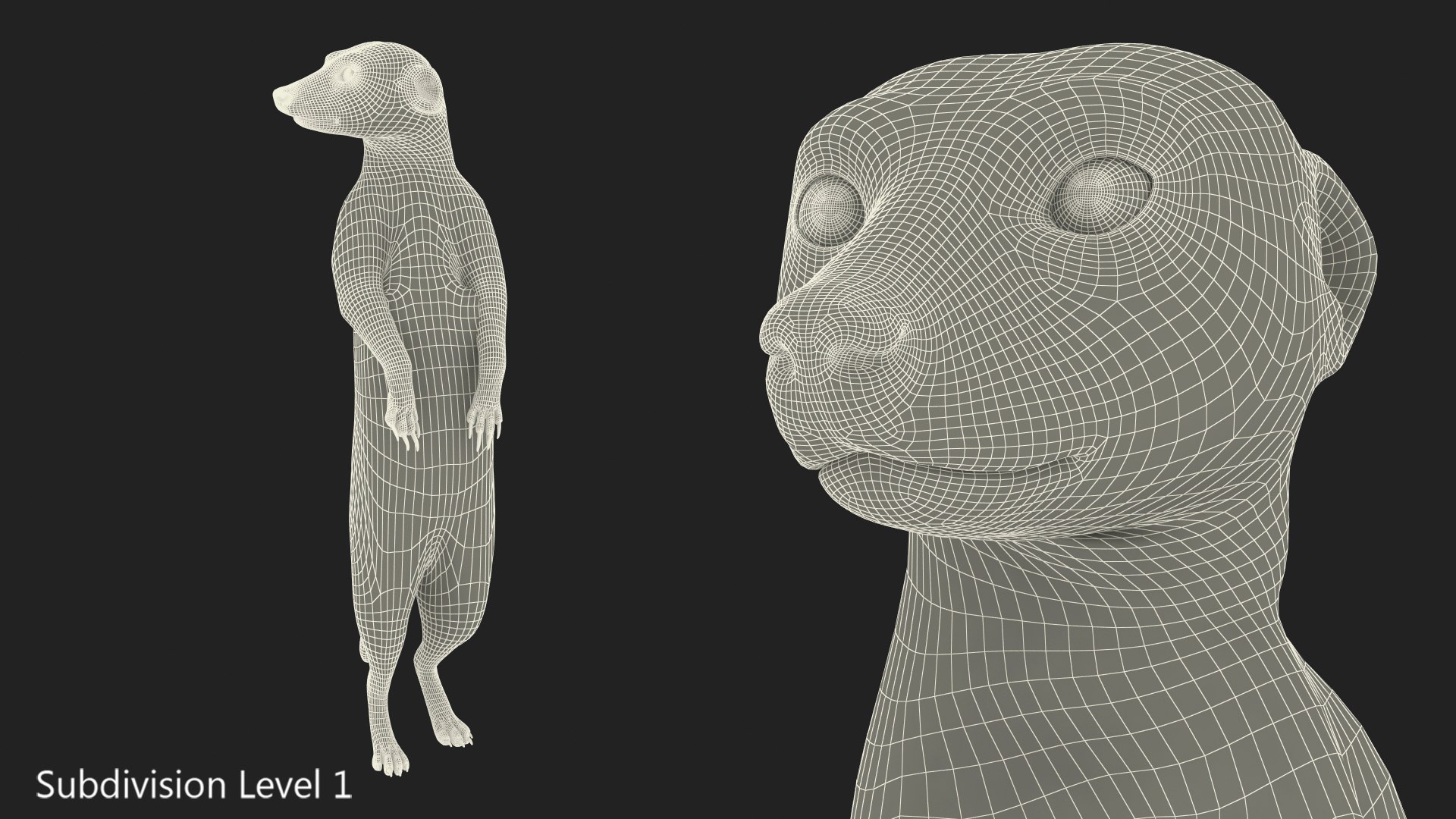 3D Meerkat Standing Pose model https://p.turbosquid.com/ts-thumb/QK/Upz4nw/Bn/meerkatstandingposec4dmodel016/jpg/1656104627/1920x1080/fit_q87/eb6d28fcc775574649e477aafe2ef6709c0a2238/meerkatstandingposec4dmodel016.jpg