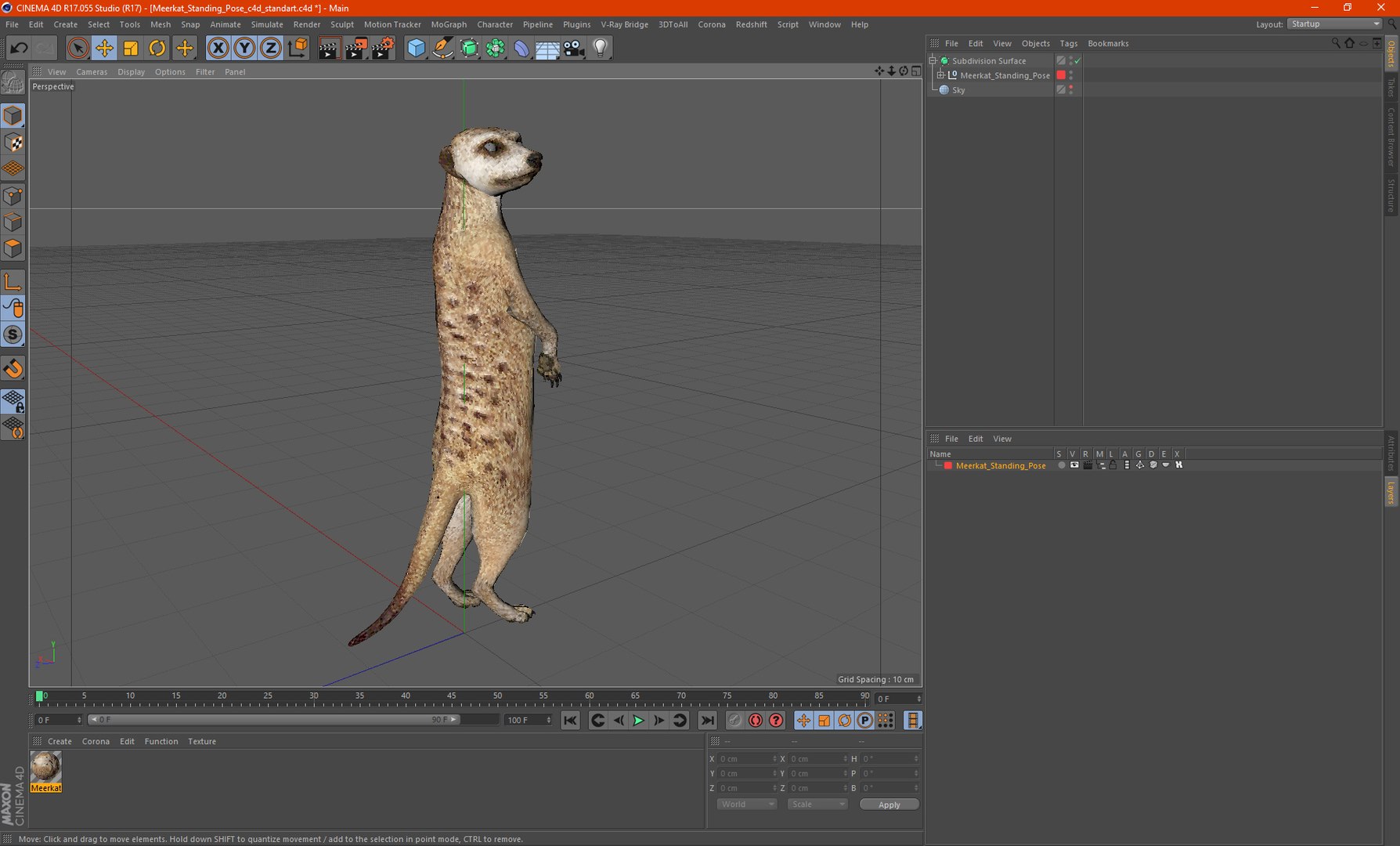 3D Meerkat Standing Pose model https://p.turbosquid.com/ts-thumb/QK/Upz4nw/EM/meerkatstandingposec4dmodel026/jpg/1656104661/1920x1080/fit_q87/8f77fe0f0b8949ec2a0768d6ef588959133a52db/meerkatstandingposec4dmodel026.jpg