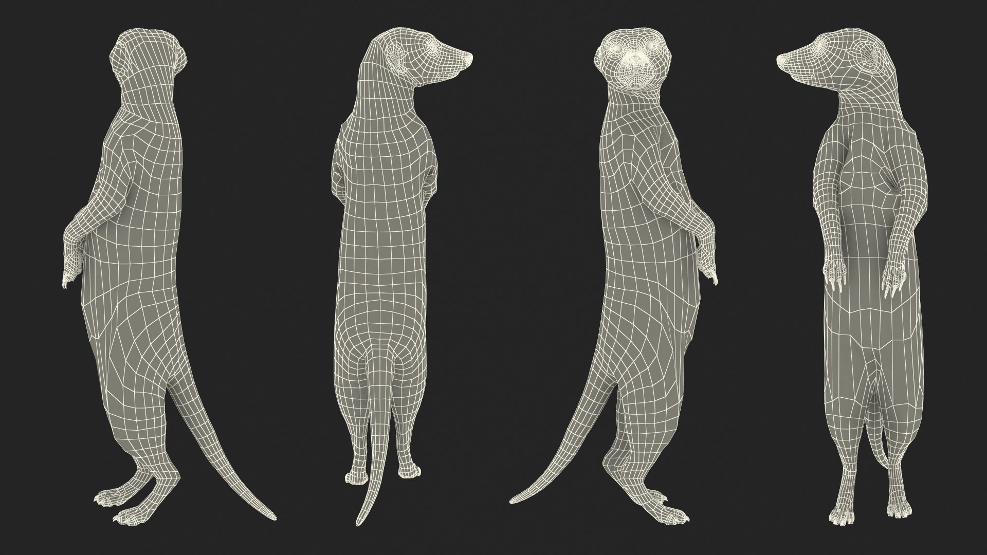 3D Meerkat Standing Pose model https://p.turbosquid.com/ts-thumb/QK/Upz4nw/NQ/meerkatstandingposec4dmodel021/jpg/1656104645/1920x1080/fit_q87/970751504370b94bac01186ee73636d7fd61b66d/meerkatstandingposec4dmodel021.jpg