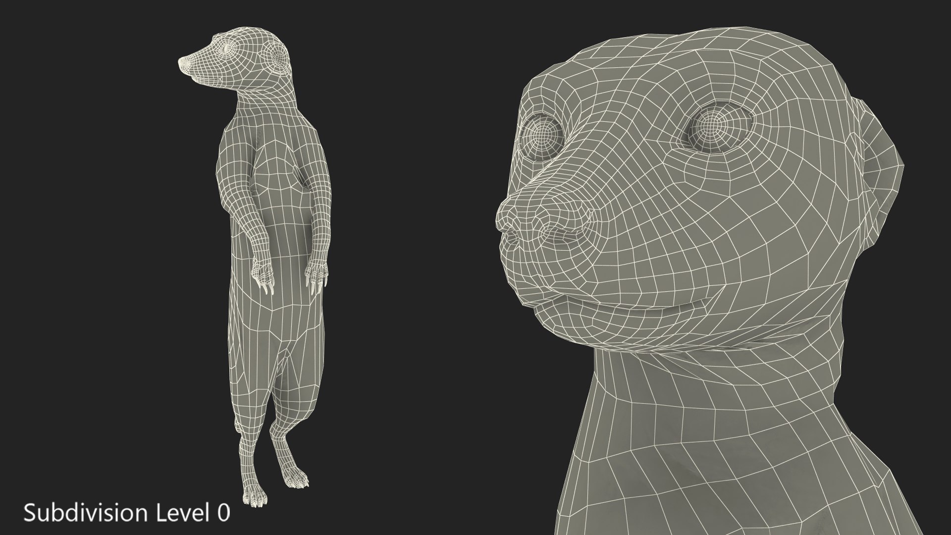 3D Meerkat Standing Pose model https://p.turbosquid.com/ts-thumb/QK/Upz4nw/QA/meerkatstandingposec4dmodel017/jpg/1656104630/1920x1080/fit_q87/b90451f288890513b7dd63e97a4d4536325461e4/meerkatstandingposec4dmodel017.jpg