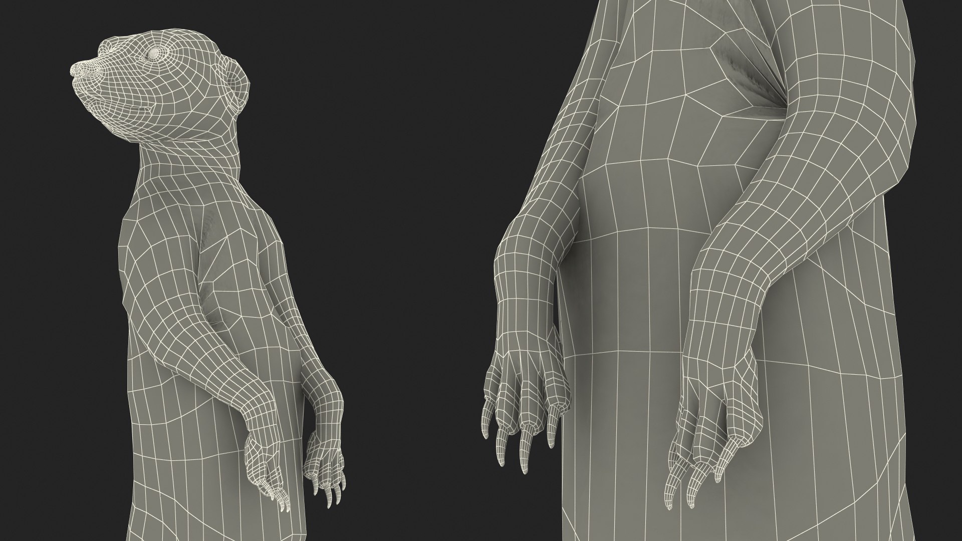 3D Meerkat Standing Pose model https://p.turbosquid.com/ts-thumb/QK/Upz4nw/a1/meerkatstandingposec4dmodel023/jpg/1656104652/1920x1080/fit_q87/0f93b530e8325ce49e40c6fde62489e5e4a395f3/meerkatstandingposec4dmodel023.jpg