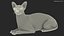 3D model bicolor sphynx cat lying