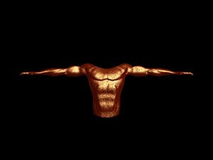 3d torsso demon human