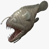Angler Fish