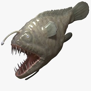 Angler Fish