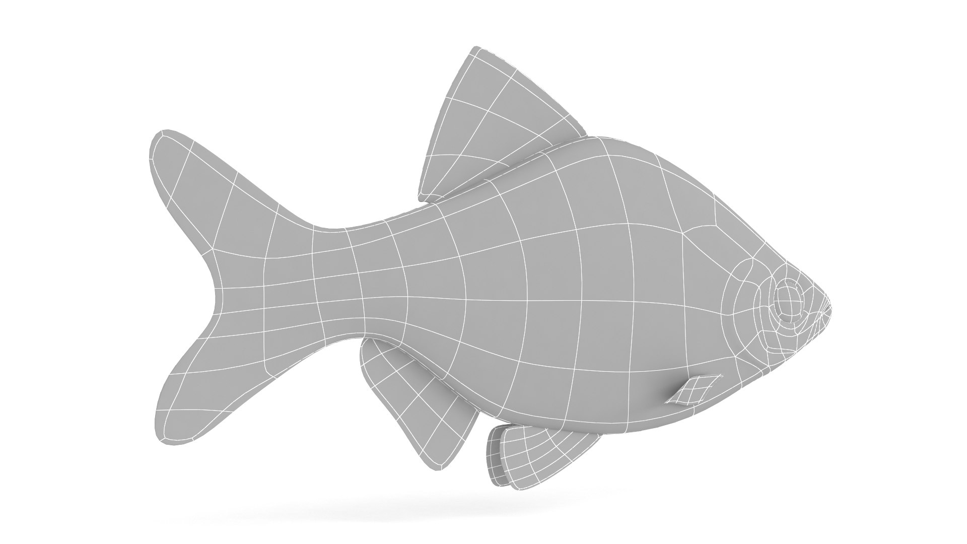Red Tiger Barb 3D https://p.turbosquid.com/ts-thumb/QK/Zk80s3/h1/10003/png/1711300605/1920x1080/fit_q87/4332848ec9d606759025c6ad1177a8fa75b39e7e/10003.jpg