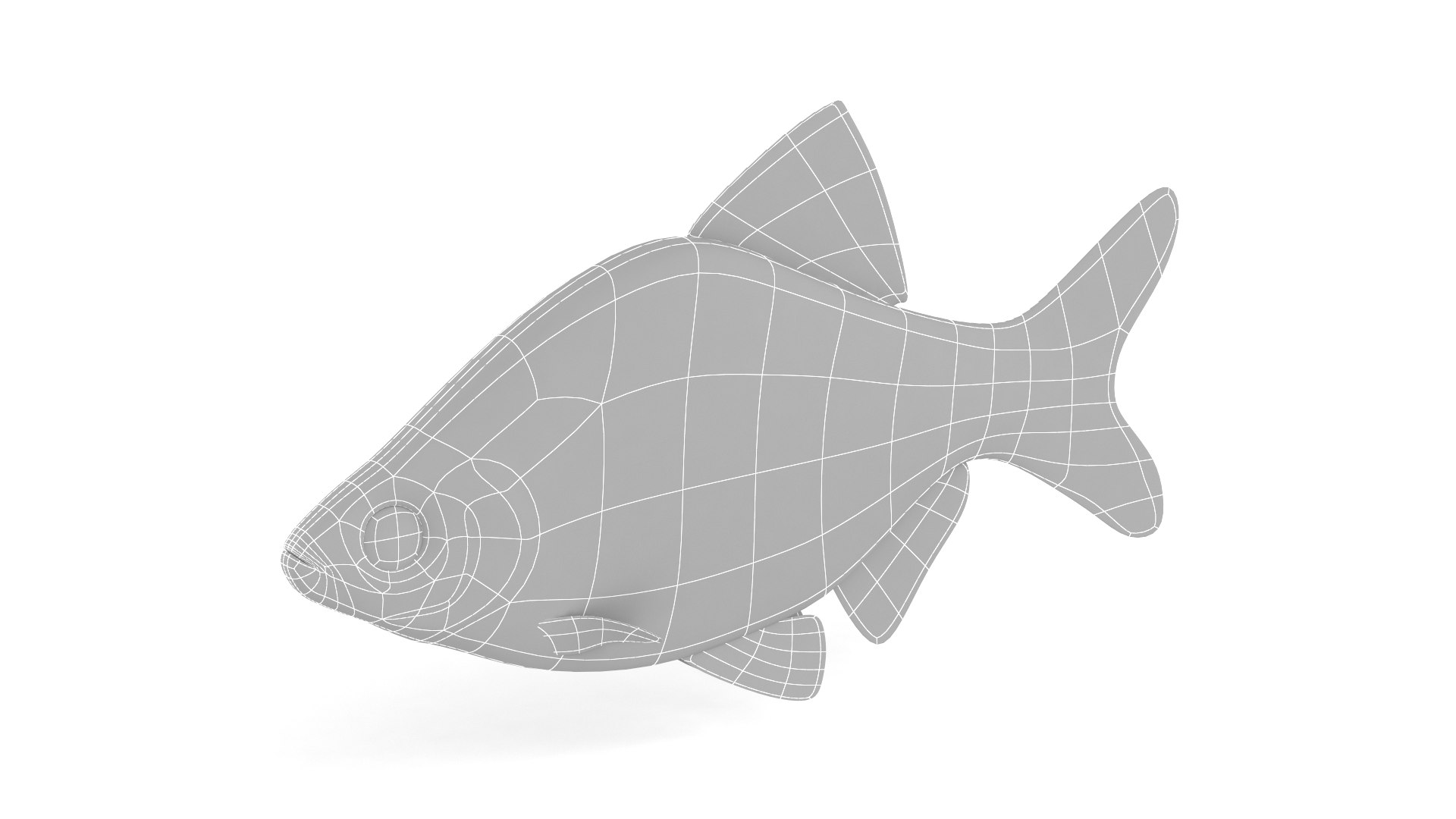 Red Tiger Barb 3D https://p.turbosquid.com/ts-thumb/QK/Zk80s3/u3/10004/png/1711300606/1920x1080/fit_q87/4889e46f5eb46a19e08c2c932d15661e6c8ad327/10004.jpg
