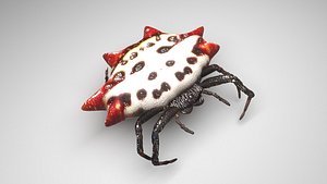 3D Gasteracantha Spider