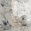 Marble 41