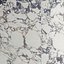 Marble 41